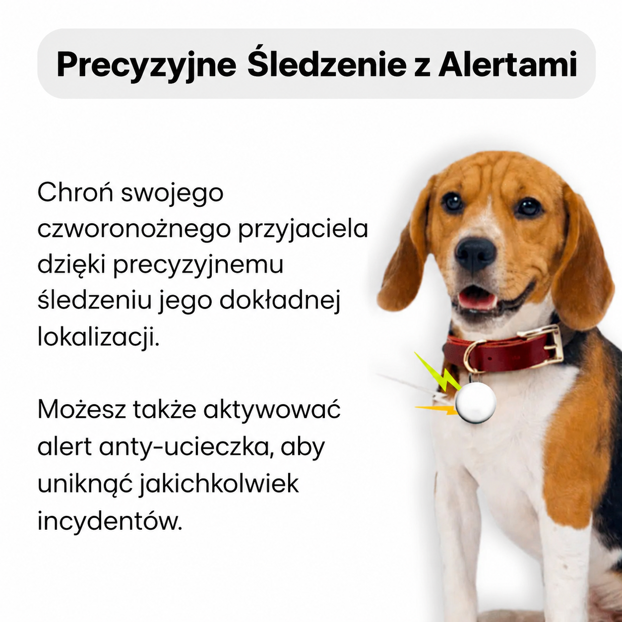 Lokalizator GPS dla zwierząt zapewniający bezpieczeństwo i wolność pupilowi