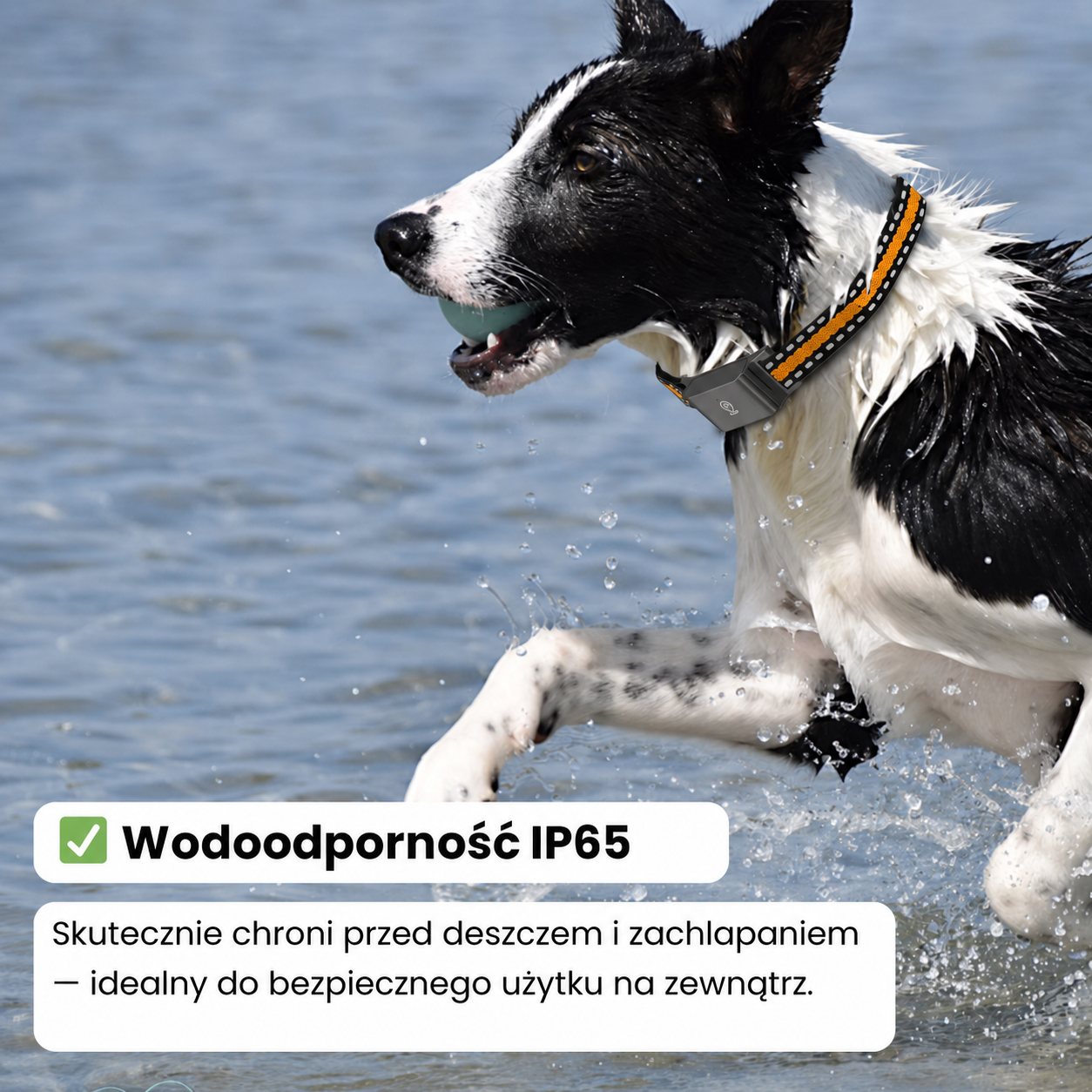 Specyfikacja techniczna obroży GPS z baterią 500 mAh i dokładnością 2-3 metry