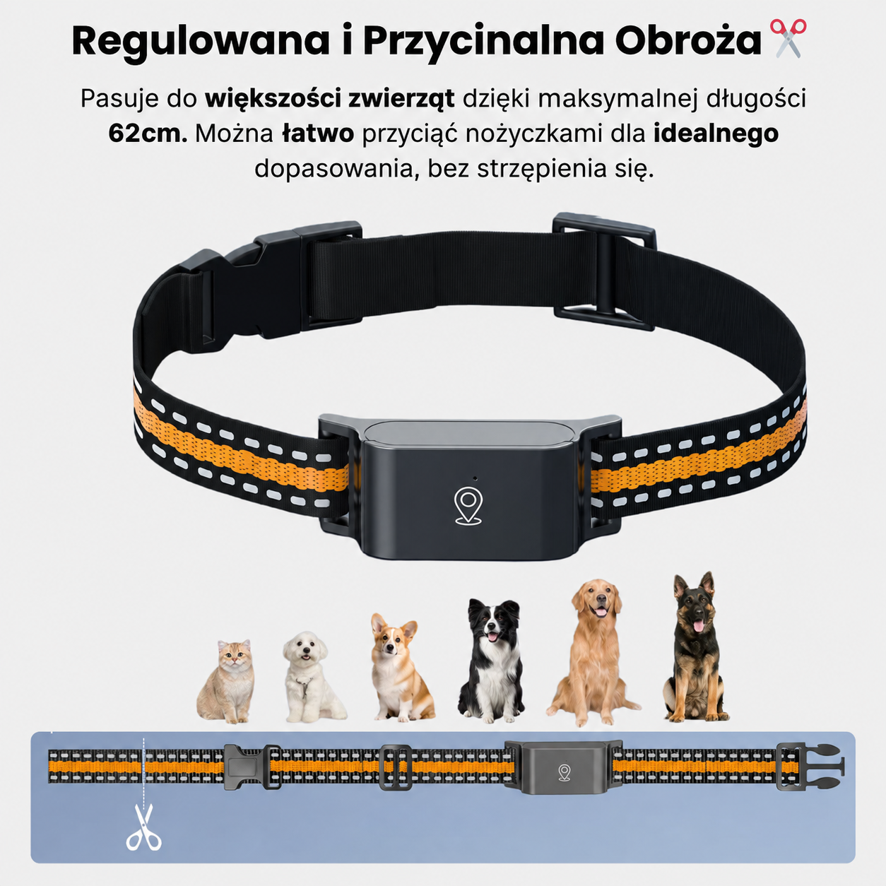 Obroża GPS bez abonamentu z długim czasem pracy baterii do 12 dni