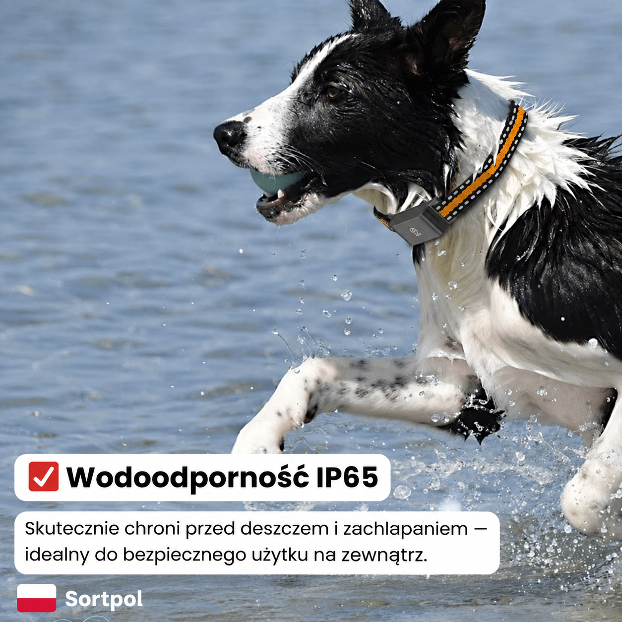 Obroża GPS dla psów i kotów z regulowaną długością do 62 cm